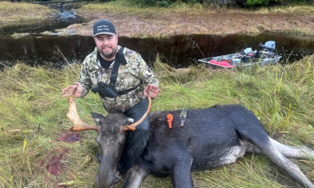Only a few days of the Central Southeast moose hunt left