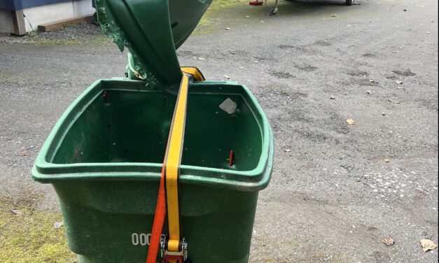 Bear-ly Contained: Petersburg’s response to increased garbage raids