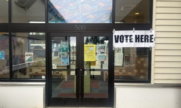 What’s on the minds of Petersburg voters?