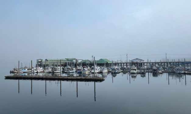 Petersburg’s harbormaster to seafood task force: “Harbors need more funding”