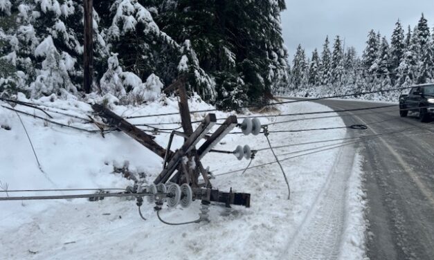 Power out for over 11 hours after utility pole collapses