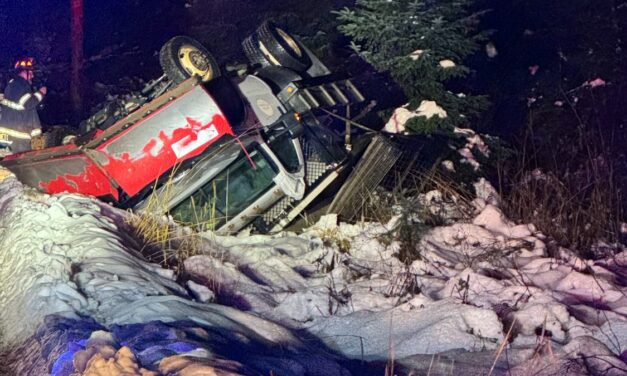 Borough vehicle slides, rolls off icy road