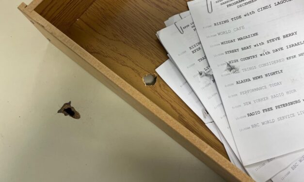 Volunteer accidentally fires handgun in radio station