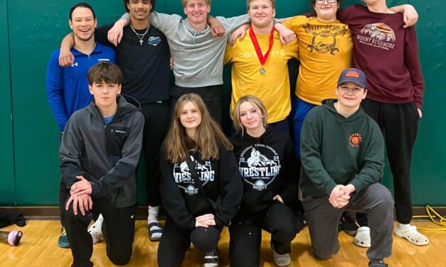 Senior Viking wrestlers to compete in state tournament
