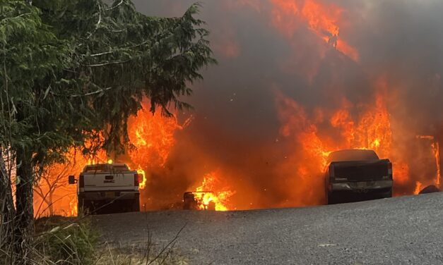 Firefighters battle flames in wind and rain as Petersburg home burns down