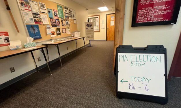 Tribal election turnout high for the second year in a row