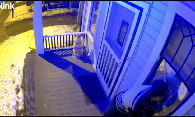 Petersburg man charged with felonies for a series of break-ins