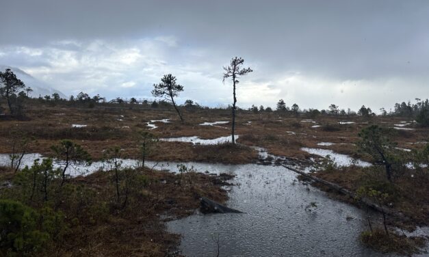 April showers bring record rainfall in Petersburg