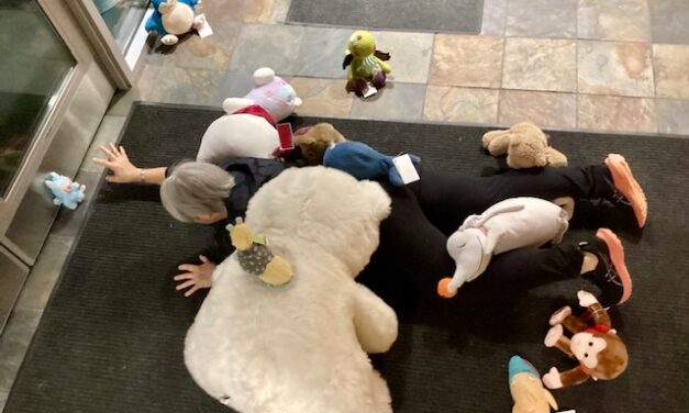 Stuffed animals ‘get up to a little bit of mischief’ at Petersburg Public Library sleepover