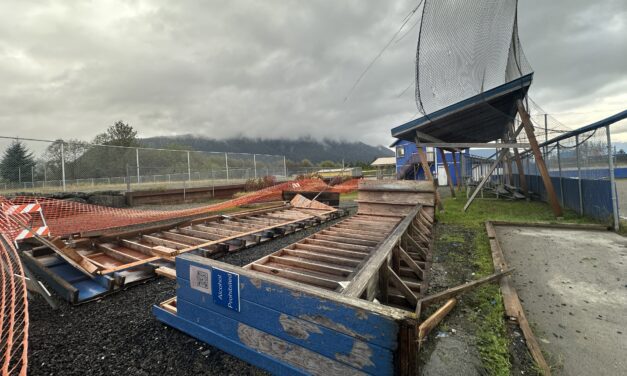 Changes to the Petersburg Borough budget include $11K for ball field repairs