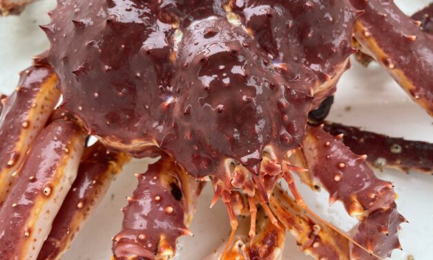 Southeast Alaska’s commercial red king crab fishery sees ‘historically high’ value