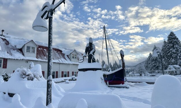 Sunday snowfall in Petersburg sets daily record, causes closures and cancellations