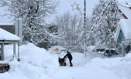 Petersburg got more snow in a week than all of last winter