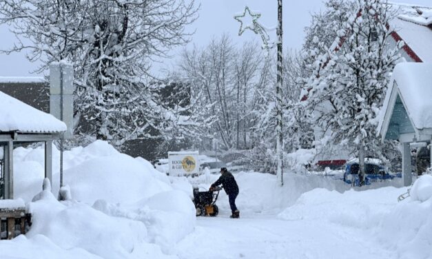 Petersburg got more snow in a week than all of last winter