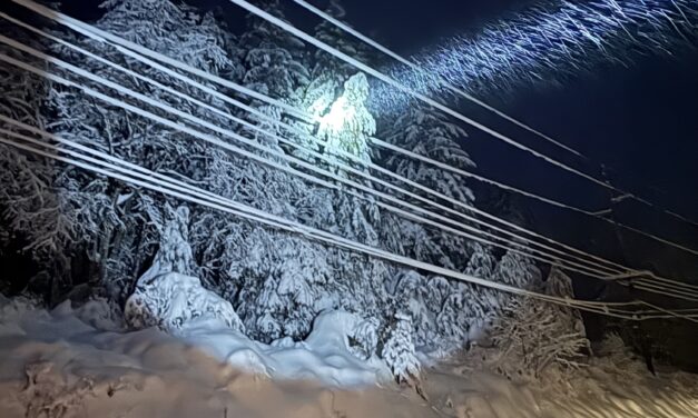Snowy tree takes out power in Petersburg for nearly 2 hours