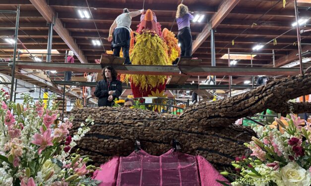 Rising from the ashes, a symbol of hope at the Rose Parade