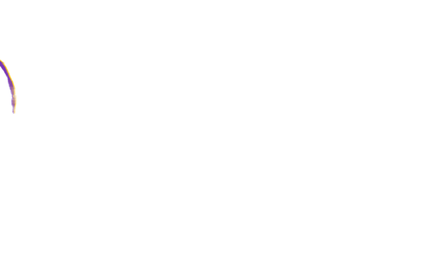 A walking challenge to start 2026 on your feet — and off your screens