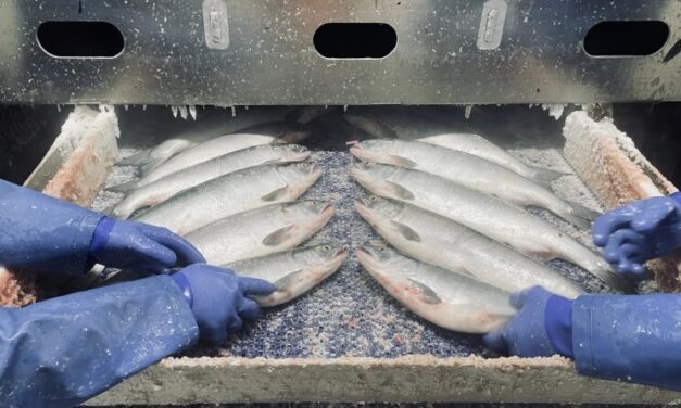 Almost 1 in 4 Alaska workers doesn’t live in the state, new report concludes