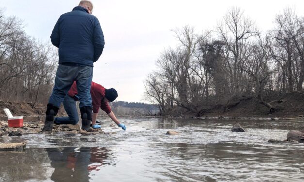 Scientists worry about lasting damage from Potomac sewage spill