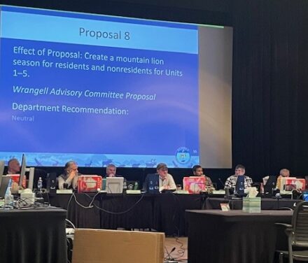 Board of Game approves limited mountain lion hunt, rejects Zarembo Island elk proposal