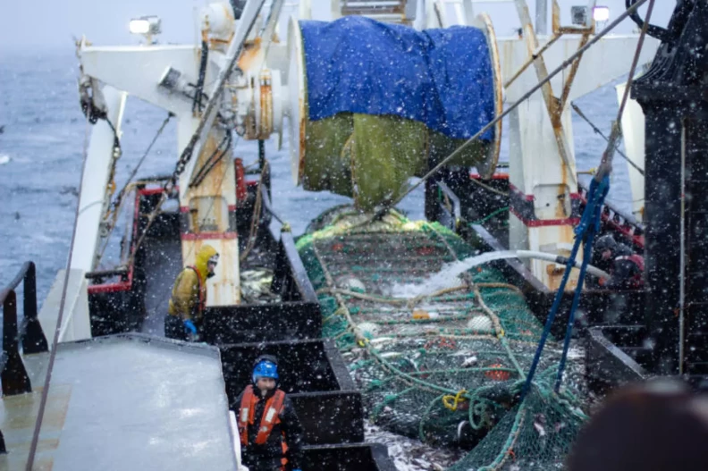 A new Bering Sea bycatch limit for chum salmon aims to protect subsistence in Western Alaska