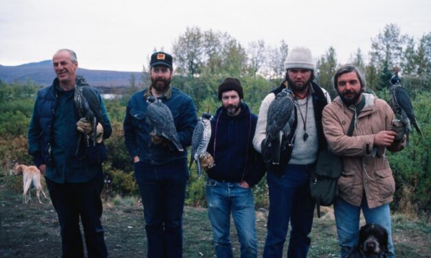 Falconry in the Last Frontier | Hometown, Alaska