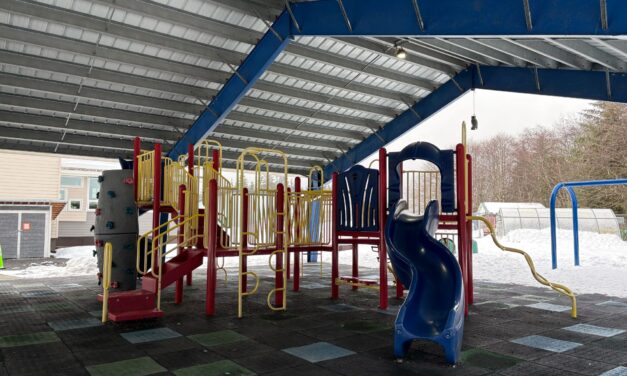 Petersburg’s Stedman Elementary to get new accessible playground equipment over the summer