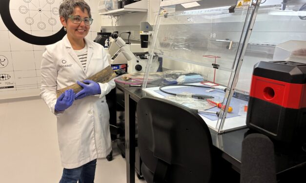 Colossal Biosciences breeds controversy while trying to revive mammoths