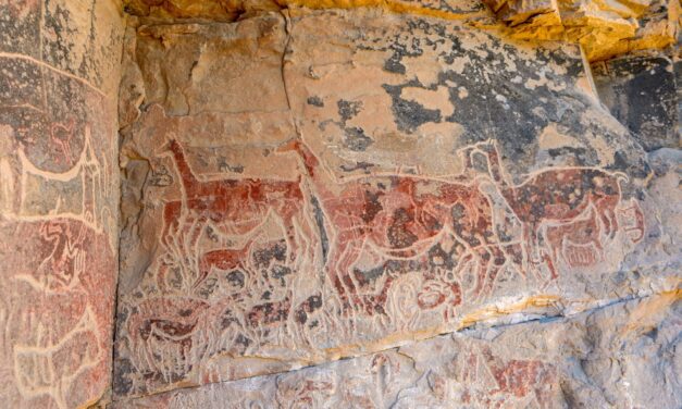 Opinion: An ancient, sophisticated palate