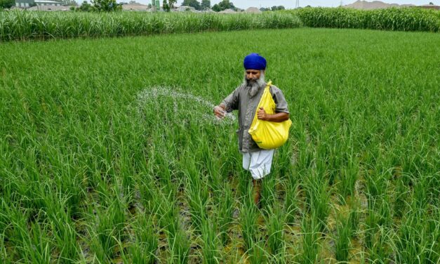 How the Iran war threatens global food supply