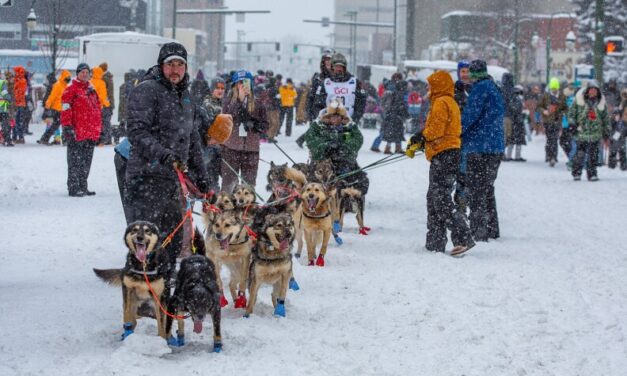 Iditarod 2026: Five Indigenous mushers to watch