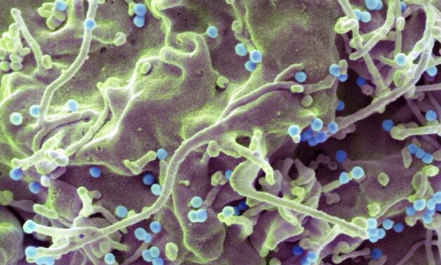 A new one-a-day-pill holds promise for HIV’s ‘forgotten population’