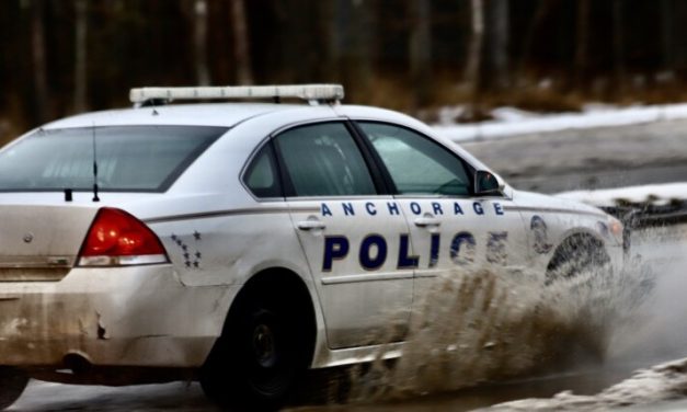 Anchorage suspect hospitalized with K-9 injuries after allegedly firing on officer