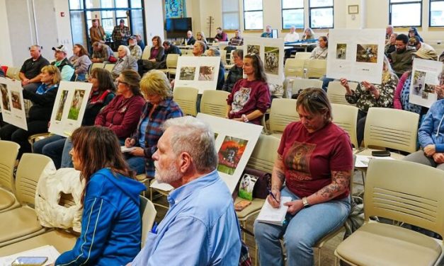 Mat-Su to hire outside investigator for animal control probe after deaths of 25 dogs