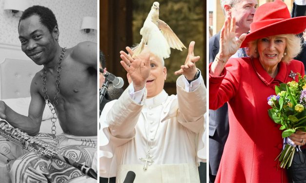 Who says they have no fear of the Trump administration? The quiz knows