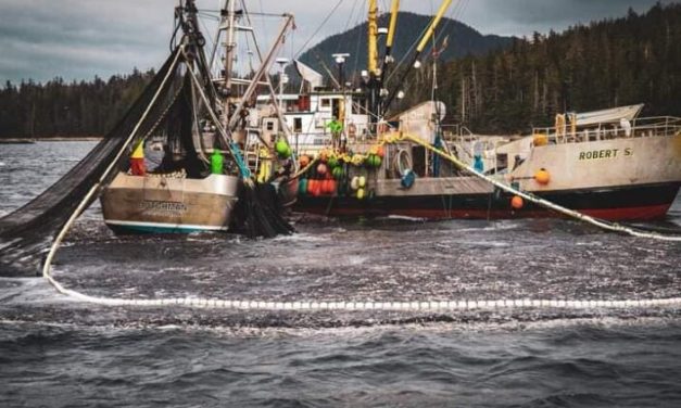 USDA’s new seafood office labels fishermen as farmers of the sea
