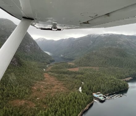 Trollers get early shot at Burnett Inlet chum this season