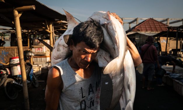 Photos: How overfishing in Southeast Asia is an ecological and human crisis