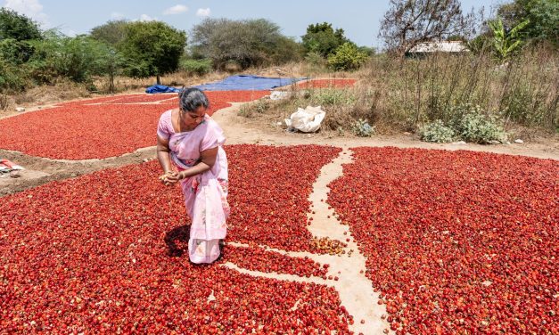 Photos: In this part of the world, nearly every chile pepper farmer is a woman