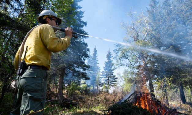 In Anchorage, an ‘average’ wildfire season still comes with risk