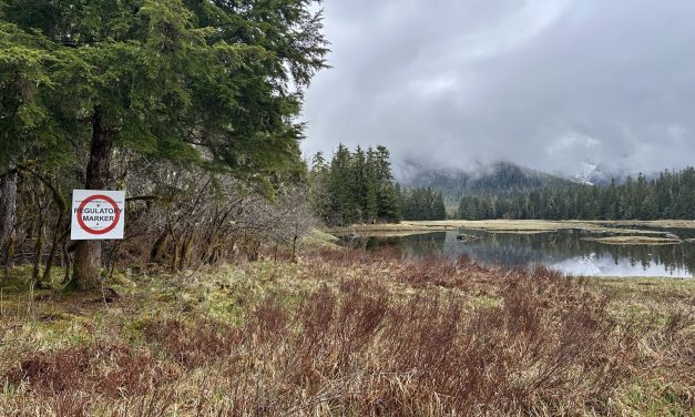 King salmon fishing on Petersburg’s Blind Slough opens to all recreational anglers, City Creek release site permanently discontinued