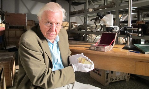 David Attenborough celebrates his 100th birthday