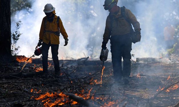 Trump administration falls behind on wildfire prevention with risky fire season ahead