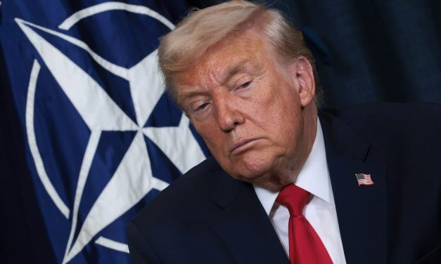 European countries emerge as NATO leaders as U.S. role recedes