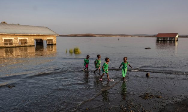 The biggest permanent desert lake threatens with rising waters and hungry crocs