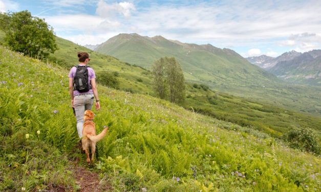 Summer outside in Mat-Su| Outdoor Explorer