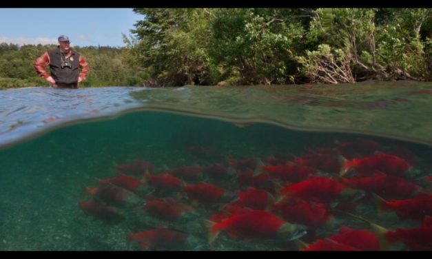 Bristol Bay Fishery and the PBS documentary series “Shared Planet” | Hometown, Alaska