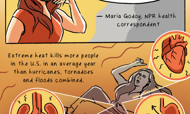 COMIC: How excessive heat kills and how to stay safe
