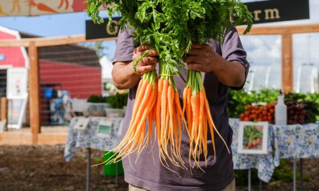 Food as medicine | Line One