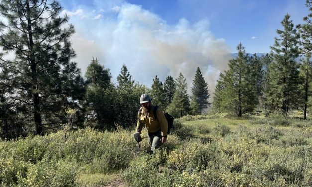 As western fires erupt, Trump’s Forest Service says it’s now fully staffed